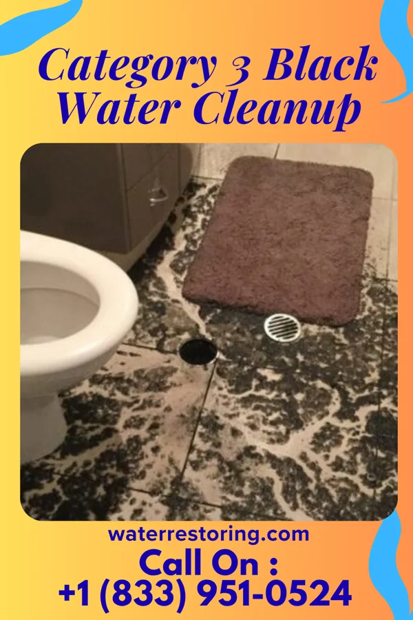 Category 3 Black Water Cleanup in Vista Center, NJ