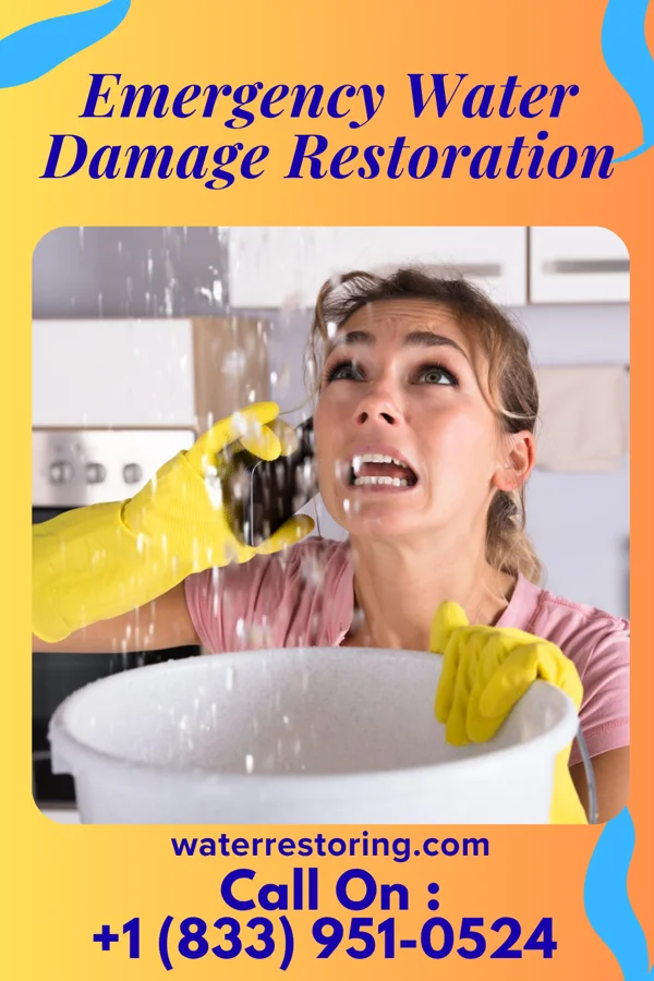 Emergency Water Damage Restoration in Vista Center, NJ