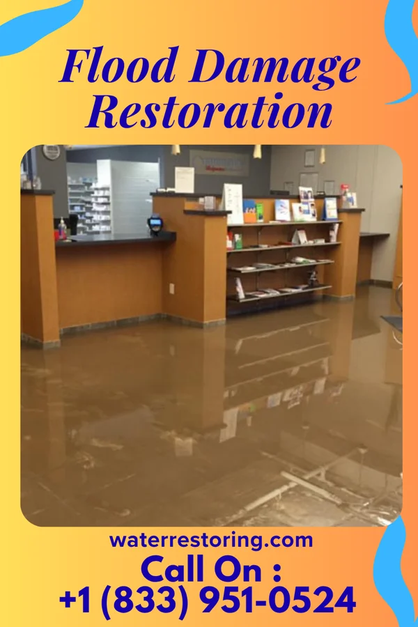 Flood Damage Restoration in Vista Center, NJ