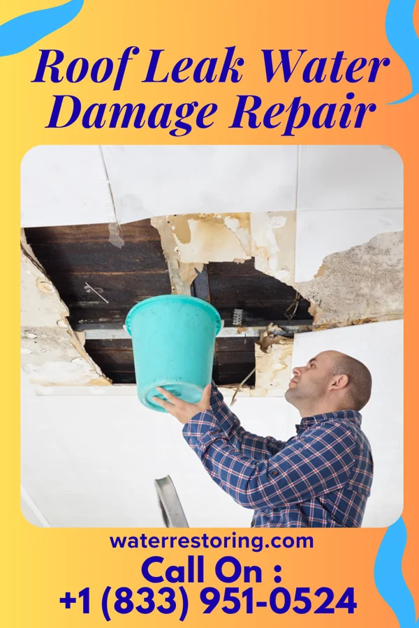 Roof Leak Water Damage Repair in Vista Center, NJ